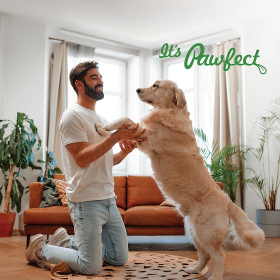 Nature's Munch Daily Chomp - Gevriesdroogde Kaassnacks voor Training (75g)