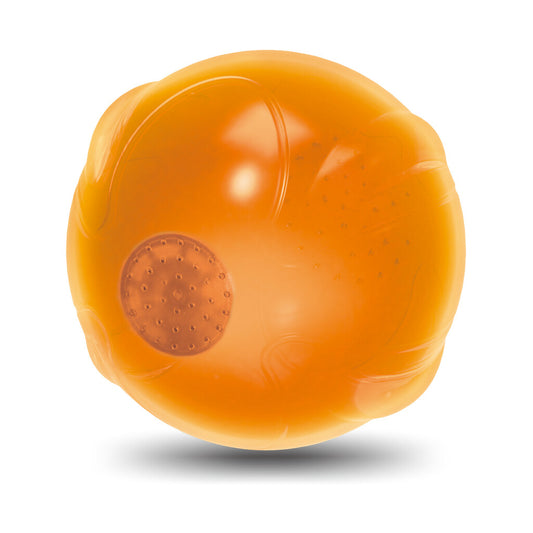 ποΈ AFP Calm Paws Anti-Anxiety Speaking Ball - Neem Je Eigen Stem Op | Innovatief