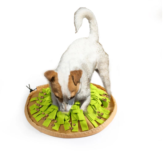 FP Dig It - Foldable Treat Mat - Opvouwbare Beloningsmat voor Mentale Stimulatie