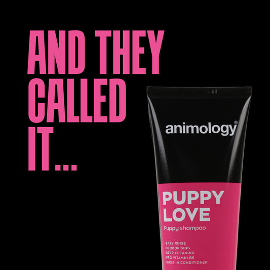 ๐ฟ Zachte Vegan Puppy Shampoo met Provitamine B5 - Animology Puppy Love 250ml