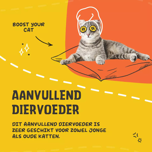 Excellent Pets L-Lysine 100 g