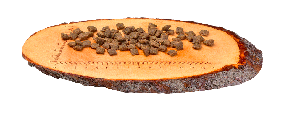 CARNILOVE LAMB / WILD BOAR STERILISED