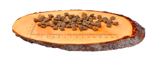 CARNILOVE LAMB / WILD BOAR STERILISED