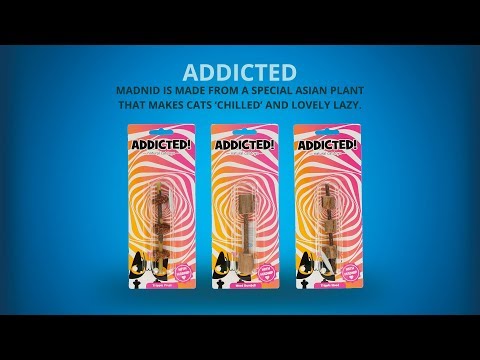 Natuurlijk Triple Fruit Kattenspeelgoed met MADNIP - Bamboe Stick