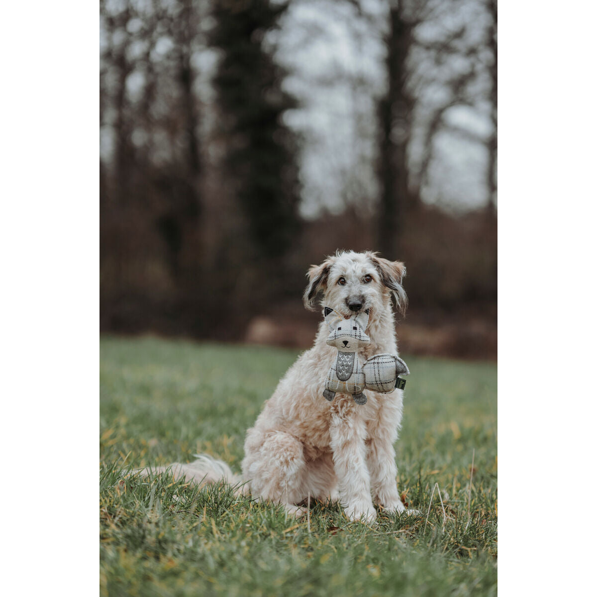 Soft toy for dogs Hunter Beige 100 % Recycled Fox-1