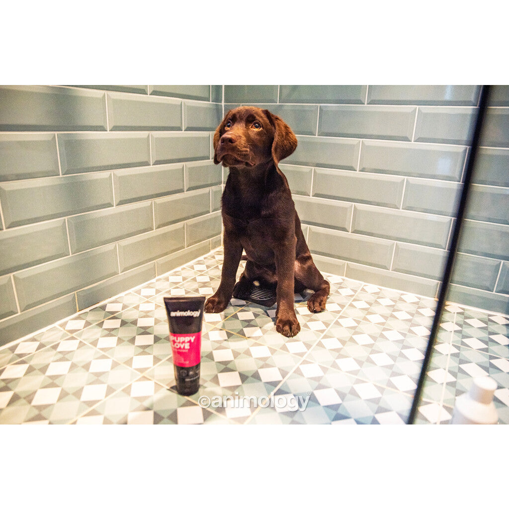 🌿 Zachte Vegan Puppy Shampoo met Provitamine B5 - Animology Puppy Love 250ml