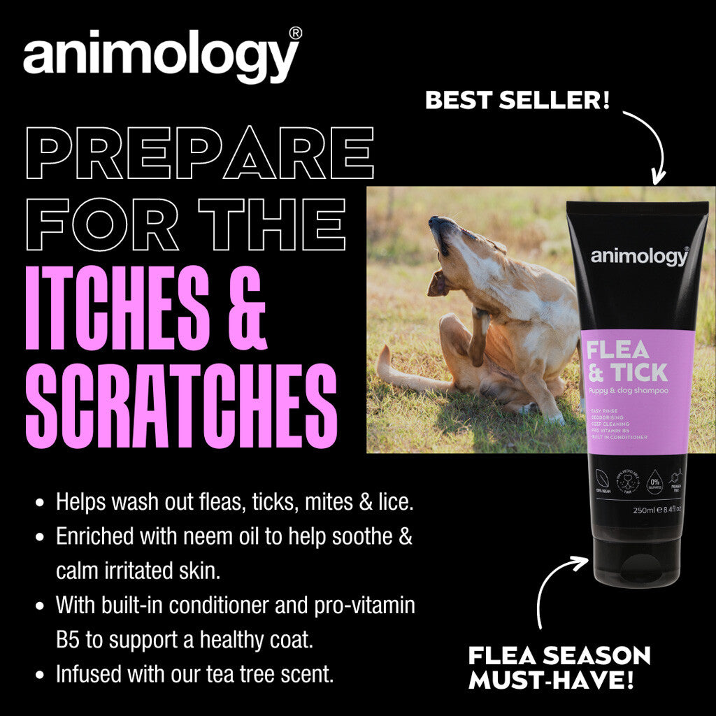 Anti-Vlooien & Teken Shampoo - Animology Flea & Tick 250ml | Tea Tree Olie