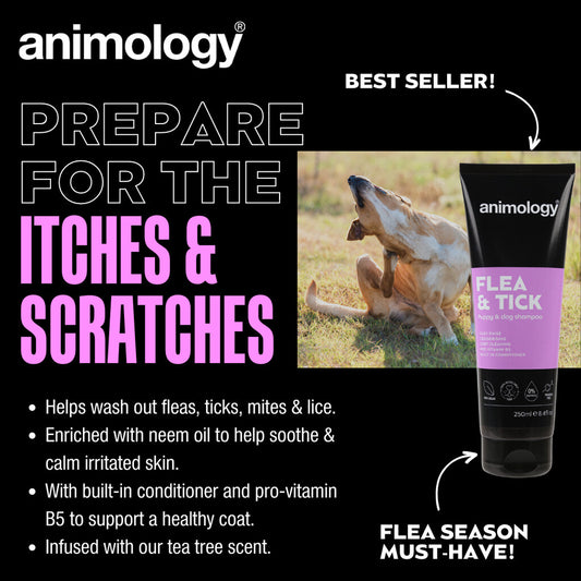 🛡️ Anti-Vlooien & Teken Shampoo - Animology Flea & Tick 250ml | Tea Tree Olie