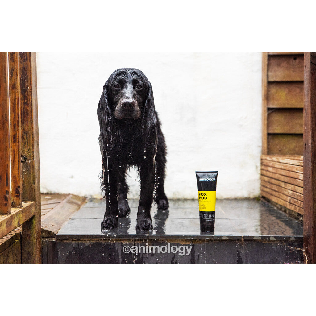 💨 Intensief Anti-Geur Shampoo - Animology Fox Poo 250ml | Verwijdert Nare Geuren