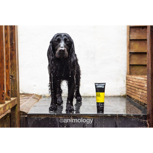 💨 Intensief Anti-Geur Shampoo - Animology Fox Poo 250ml | Verwijdert Nare Geuren