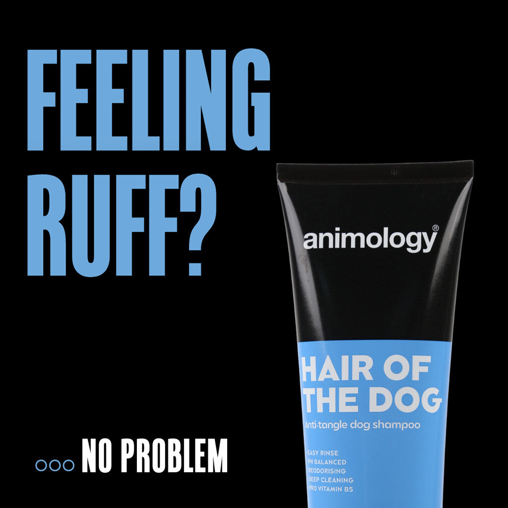 Animology Hair Of The Dog - Ontklittende Shampoo voor Honden (250ml)