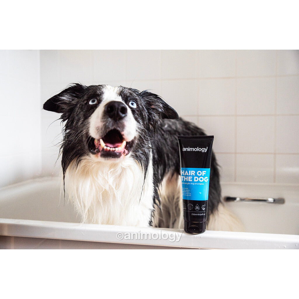 Animology Hair Of The Dog - Ontklittende Shampoo voor Honden (250ml)