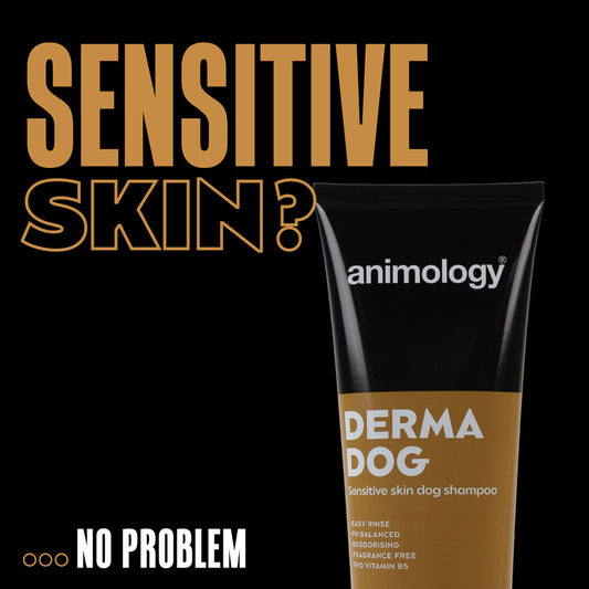 🌸 Gevoelige Huid Shampoo - Animology Derma Dog 250ml | Extra Mild & Vegan