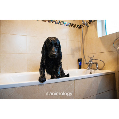 ✨ Ontklittende Conditioner - Animology Top Dog 250ml | Hydraterend & Vegan