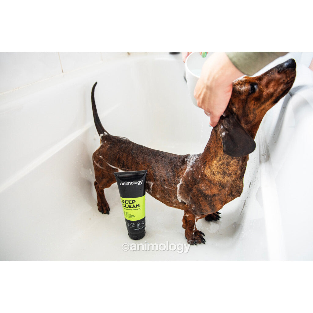 💪 Intensief Reinigende Shampoo - Animology Deep Clean 250ml | Voor Dikke Vachten