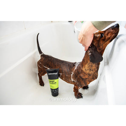 💪 Intensief Reinigende Shampoo - Animology Deep Clean 250ml | Voor Dikke Vachten