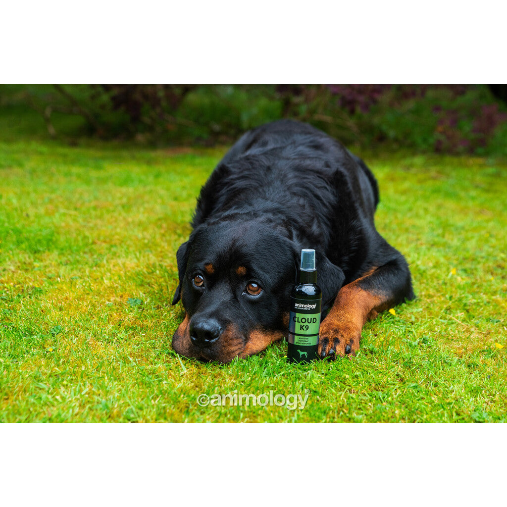 ☁️ Animology Cloud K9 - Levendige Bergamot Body Mist voor Honden (150ml)