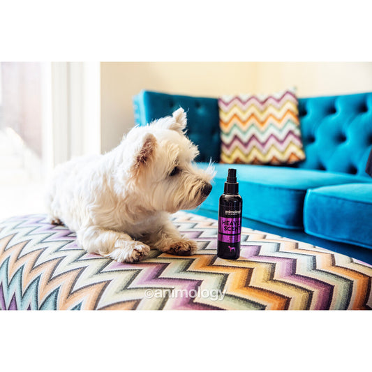 🌸 Animology Heaven Scent - Bloemige Pioenroos Body Mist voor Honden (150ml)