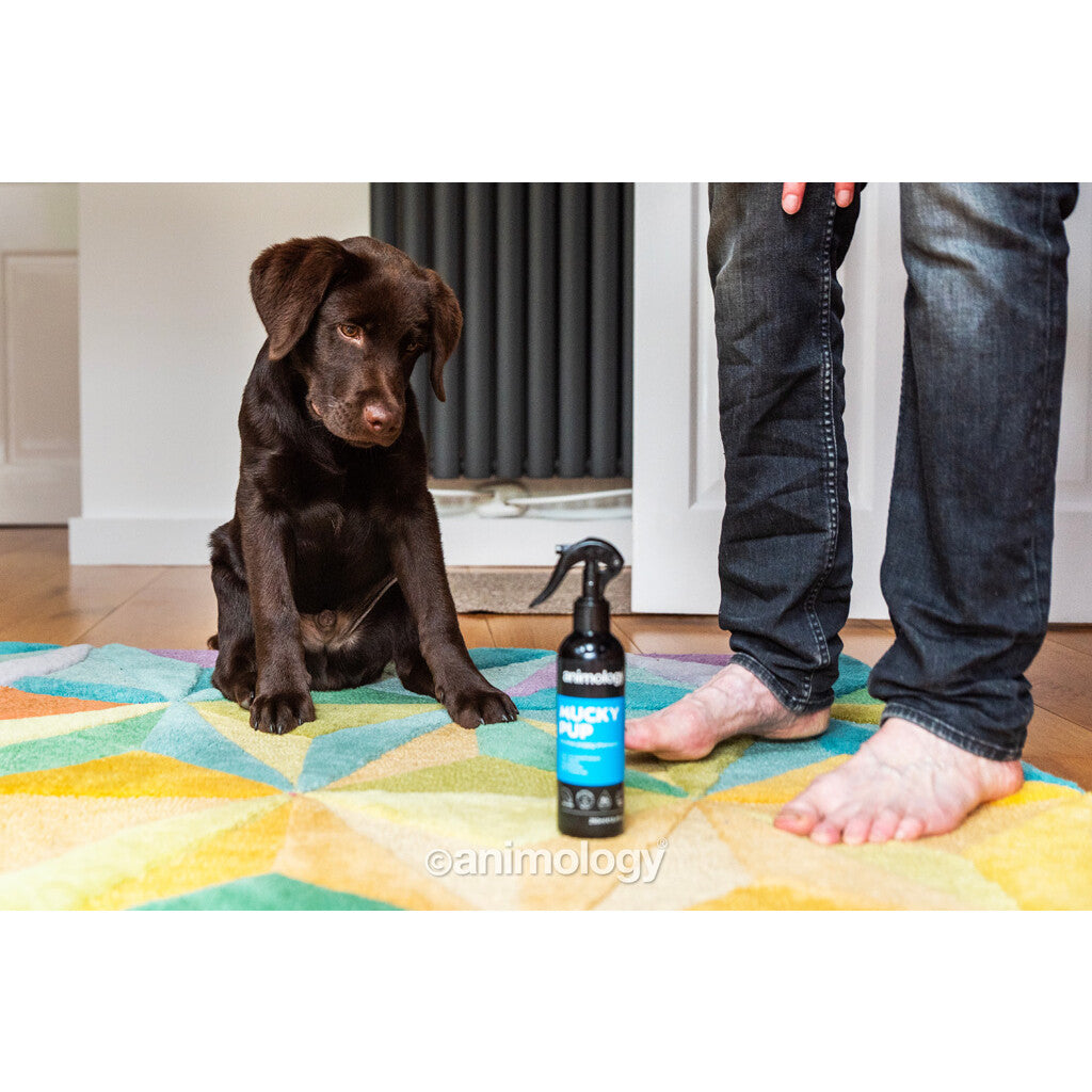 Puppy Starter Kit | Animology Verzorgingsset voor Puppy's