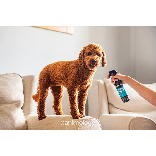 ✨ Animology Puppy Fresh - Deodoriserende Spray voor Puppy's (250ml)