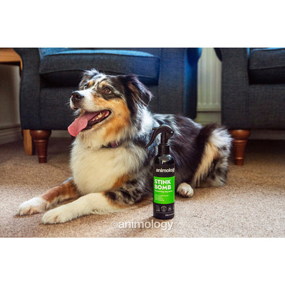 💣 Animology Stink Bomb - Krachtige Deodoriserende Spray voor Honden (250ml)