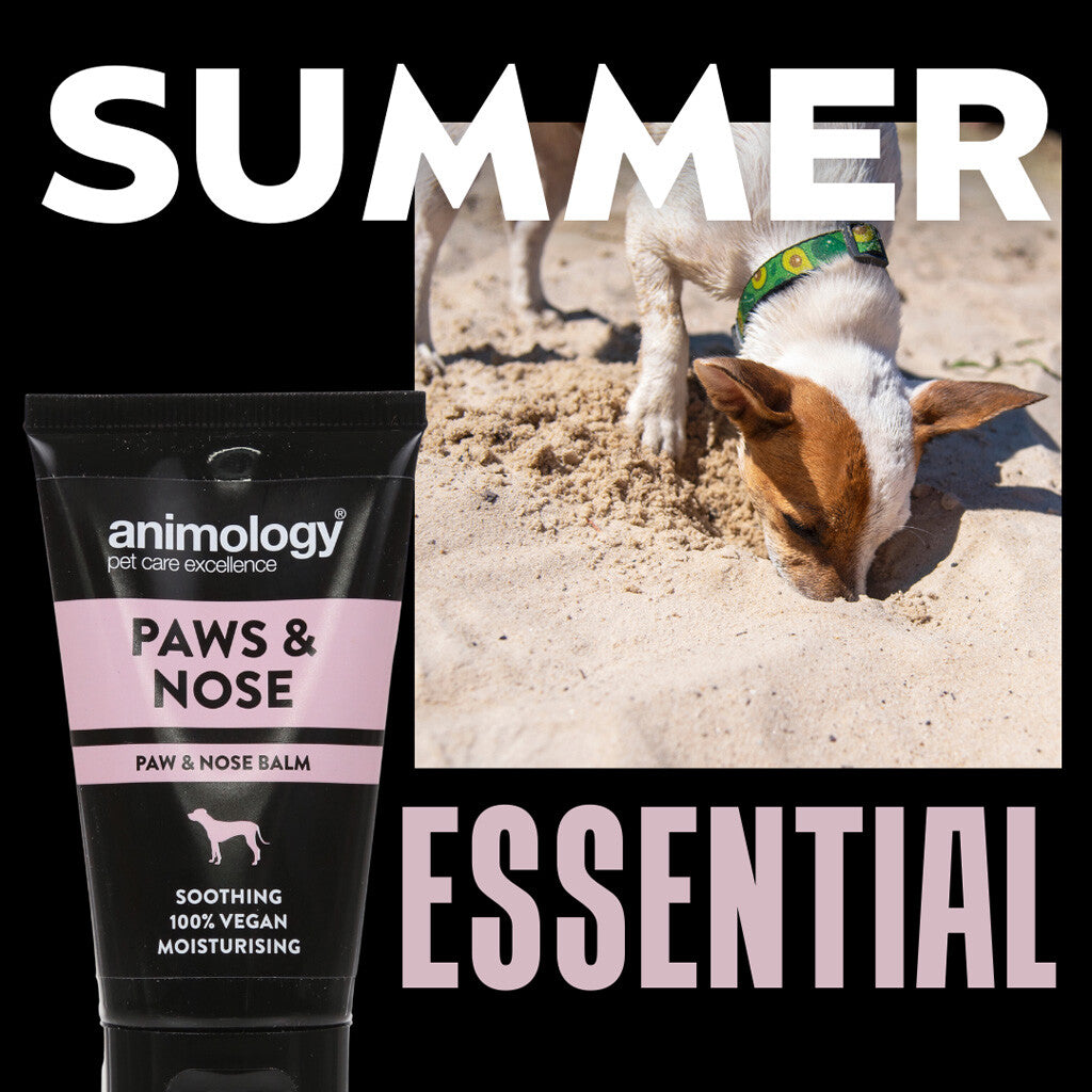 🐾 Animology Paws & Nose Balm - Verzorgende Balsem voor Pootjes & Neus (50ml)