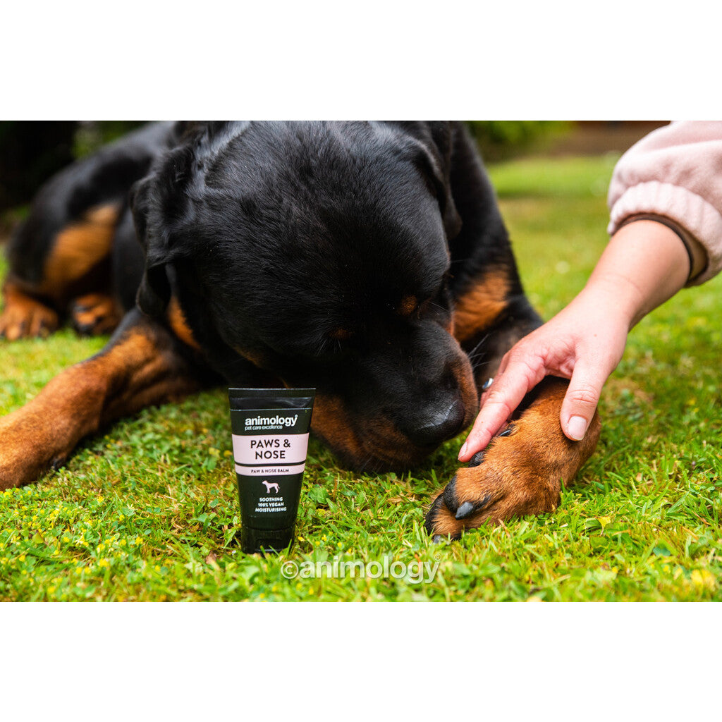 🐾 Animology Paws & Nose Balm - Verzorgende Balsem voor Pootjes & Neus (50ml)