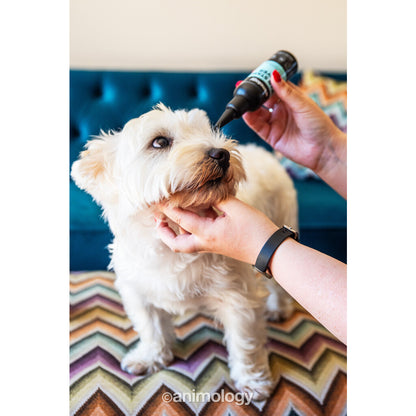 👁️ Animology Tear Stain Remover - Milde Oogvlekkenverwijderaar (100ml)