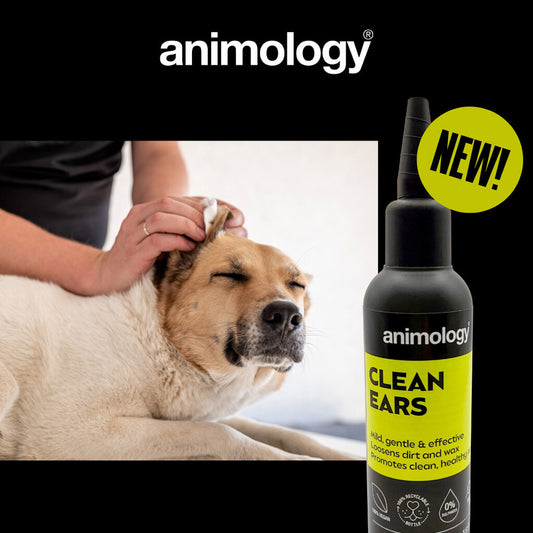 👂 Animology Clean Ears - Milde Oorreiniger voor Honden (100ml)