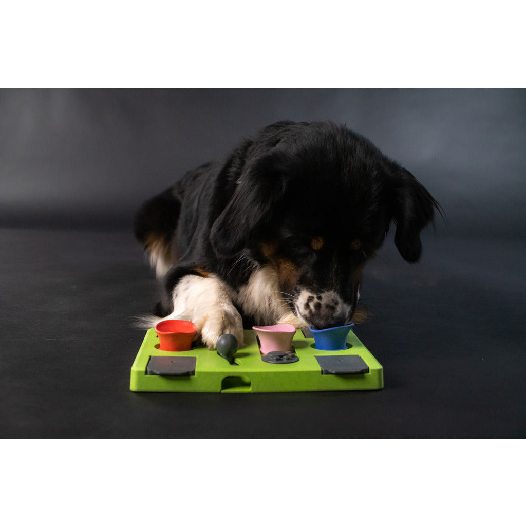Eat Slow Live Longer Puzzle Rectangle - Interactief Intelligentiespel
