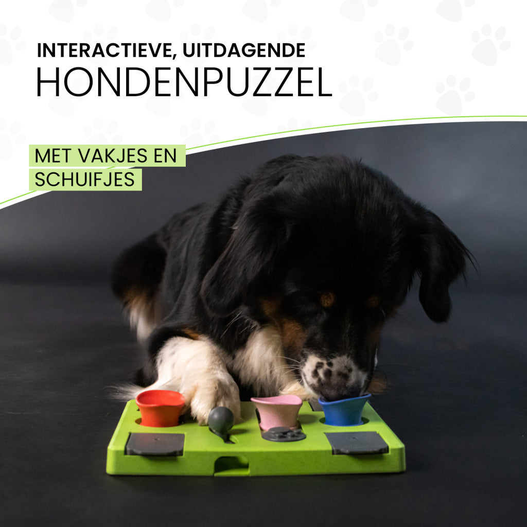 Eat Slow Live Longer Puzzle Rectangle - Interactief Intelligentiespel