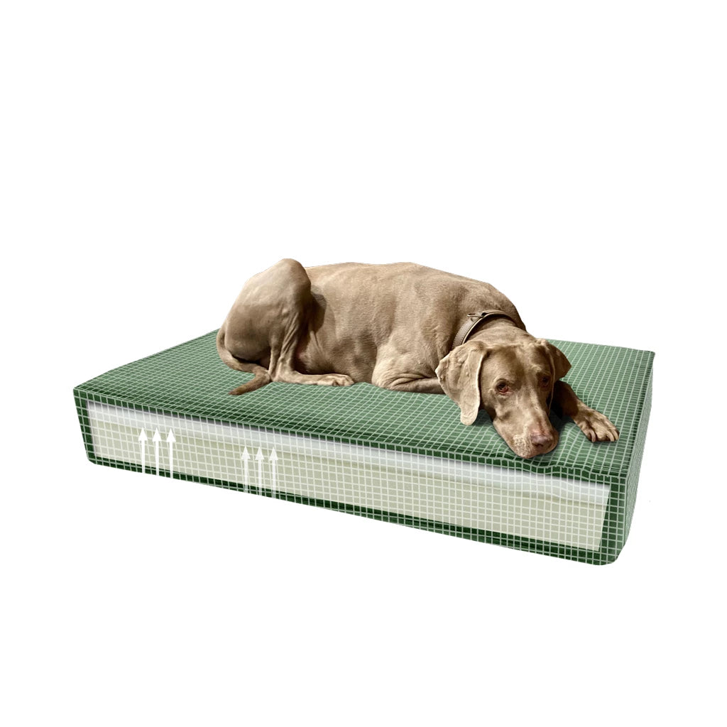 Madison Orthopedisch Kussen - OEKO-TEX Gecertificeerd Traagschuim Hondenbed