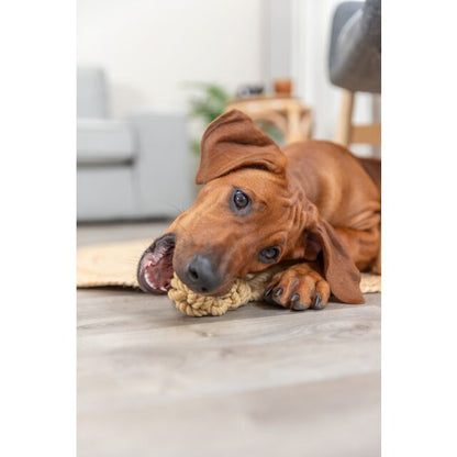 Trixie Be Nordic Flostouw met Touwbal