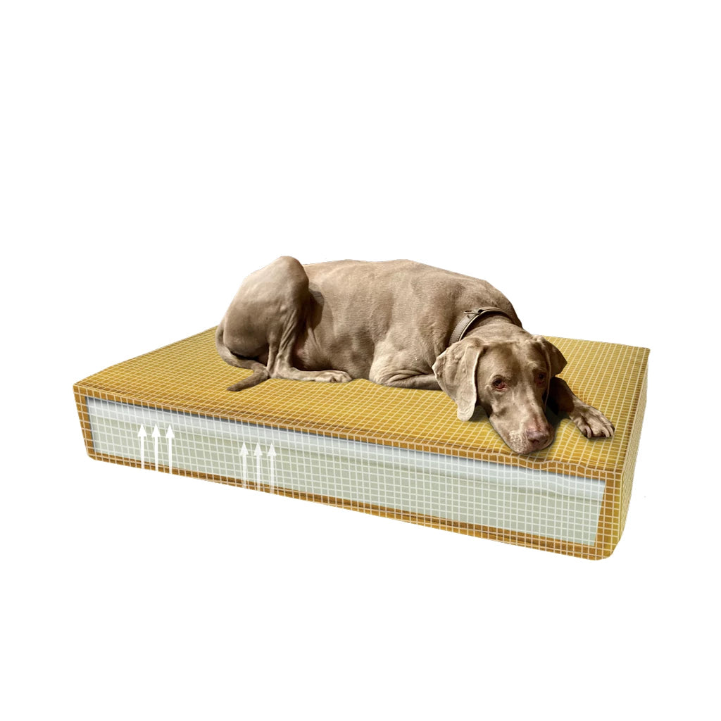 Madison Orthopedisch Kussen - OEKO-TEX Gecertificeerd Traagschuim Hondenbed