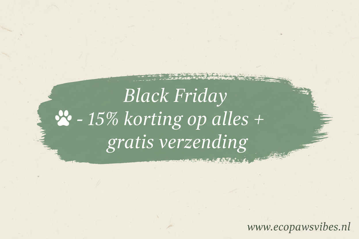 Banner Black Friday correcto