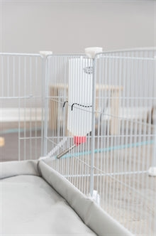 TRIXIE INDOORREN METAAL/KUNSTSTOF WIT 140x70x35cm - Modulaire Knaagdierren