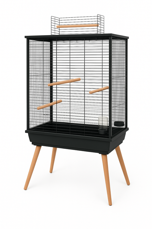 Zolux Neo Jili XL Black Clean Design